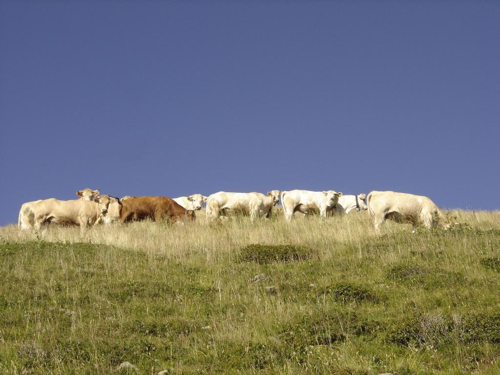 Gite Le Cerf De Belledonne Sainte-Agnès Eksteriør billede