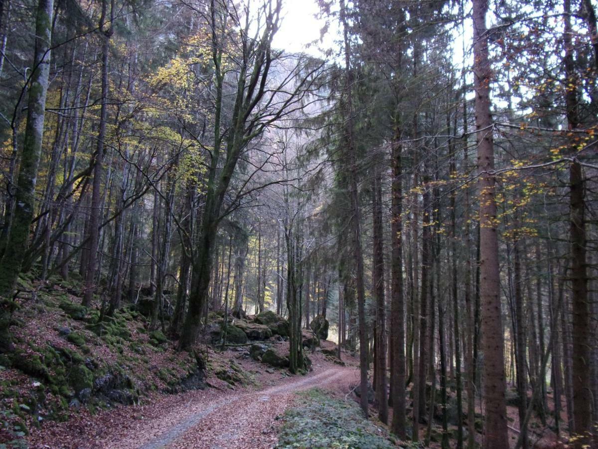 Gite Le Cerf De Belledonne Sainte-Agnès Eksteriør billede